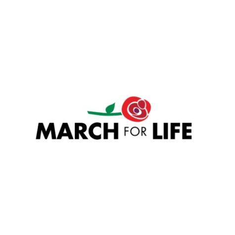 Carroll students and teachers join first post-Roe v. Wade March for Life