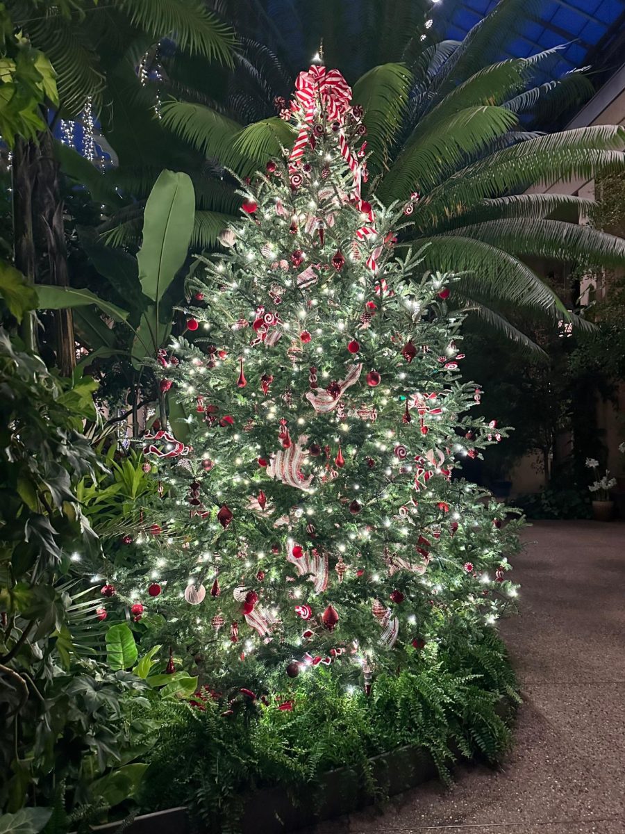 This decorated tree and many others wowed crowds that visited Longwood Gardens conservatory.
