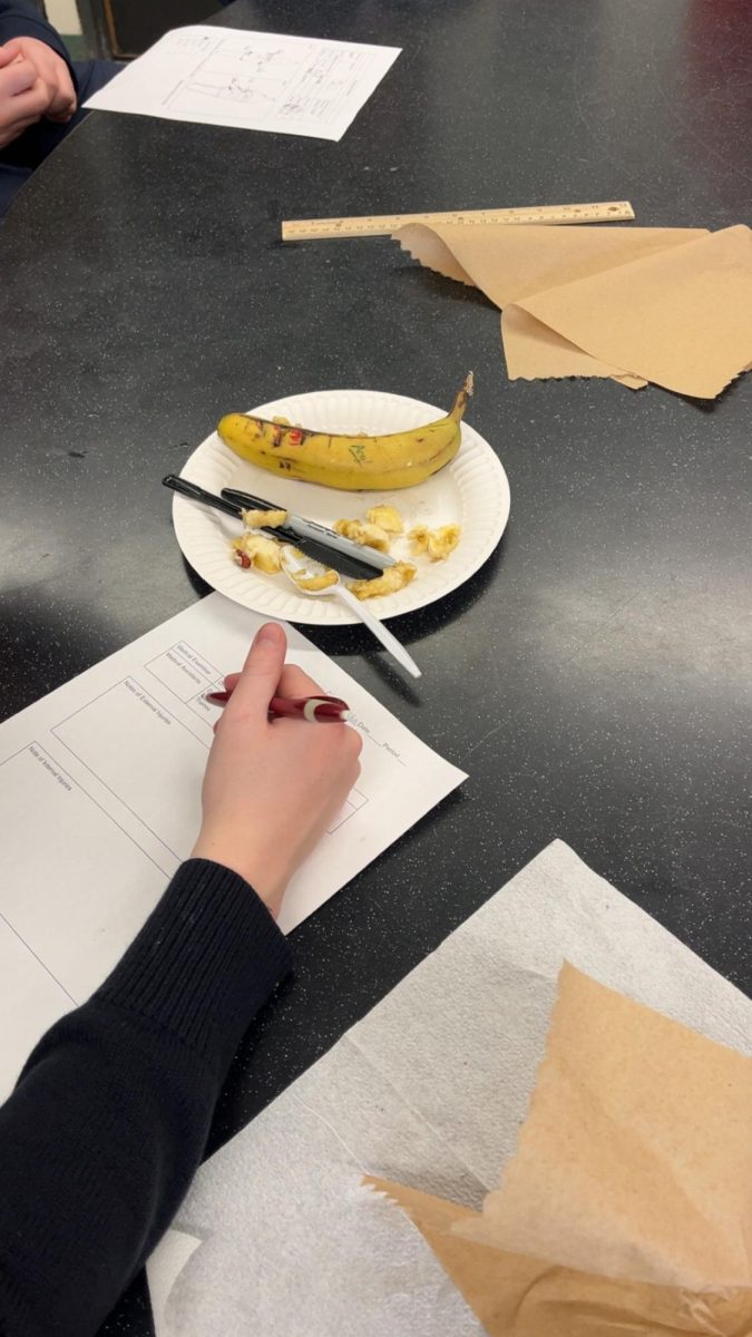 Students perform an autopsy on a banana in Mr. Christopher Maddish's classroom as part of seventh grade visitation day.