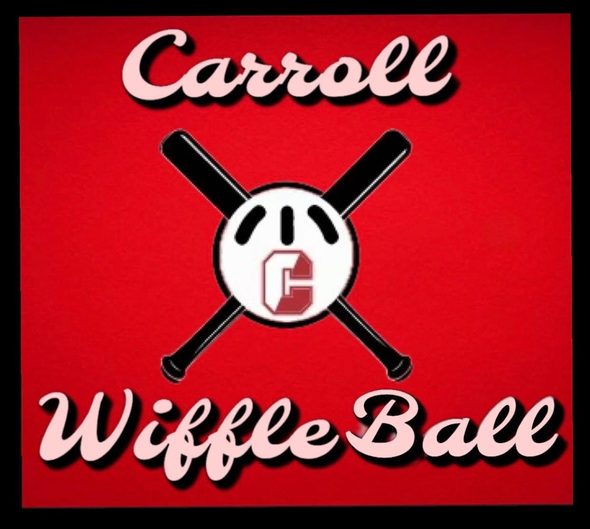Wiffle ball club has successful inaugural year