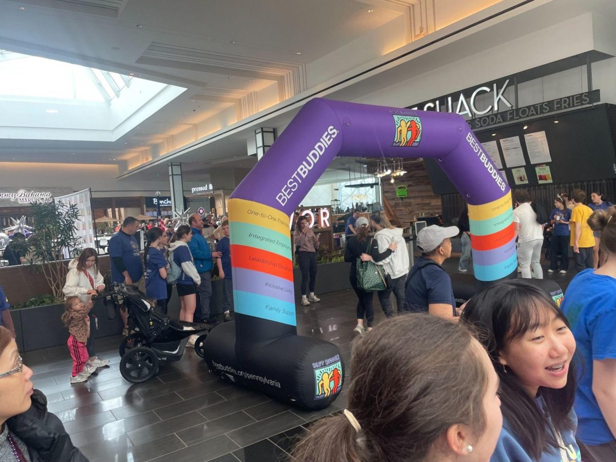 Members of Archbishop Carroll's Best Buddies organization were among hundreds of people who participated in a Friendship Walk at the King of Prussia mall in March.